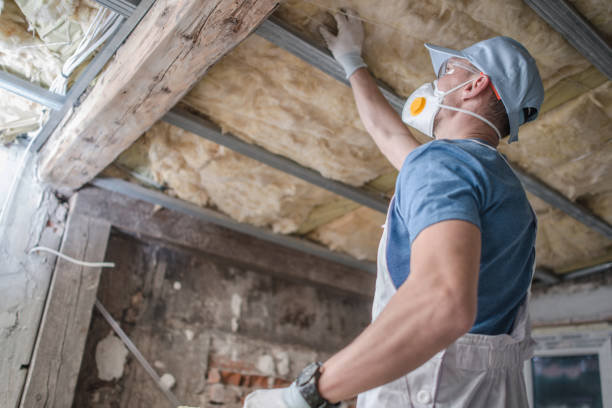 Best Cellulose Insulation in Mcclure, PA